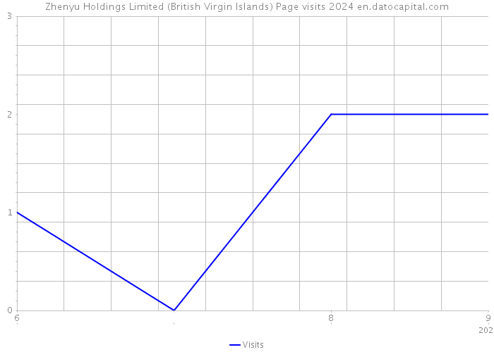 Zhenyu Holdings Limited (British Virgin Islands) Page visits 2024 