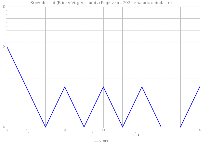 Brownbit Ltd (British Virgin Islands) Page visits 2024 