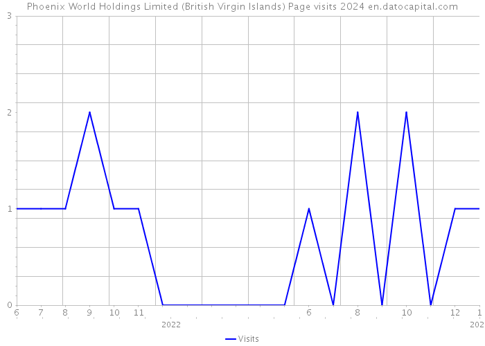 Phoenix World Holdings Limited (British Virgin Islands) Page visits 2024 