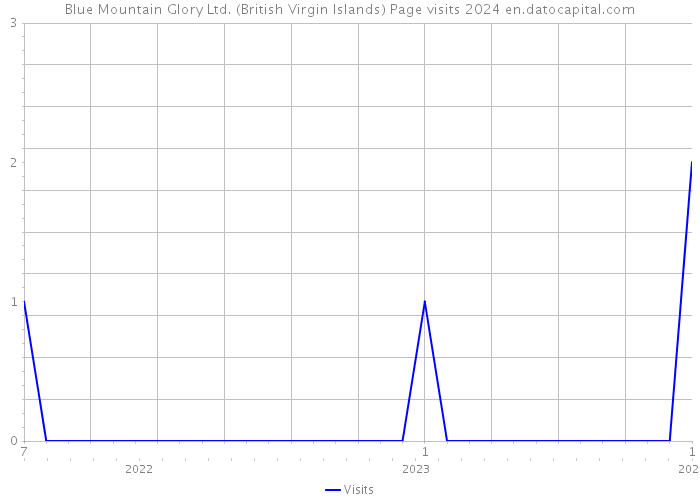 Blue Mountain Glory Ltd. (British Virgin Islands) Page visits 2024 