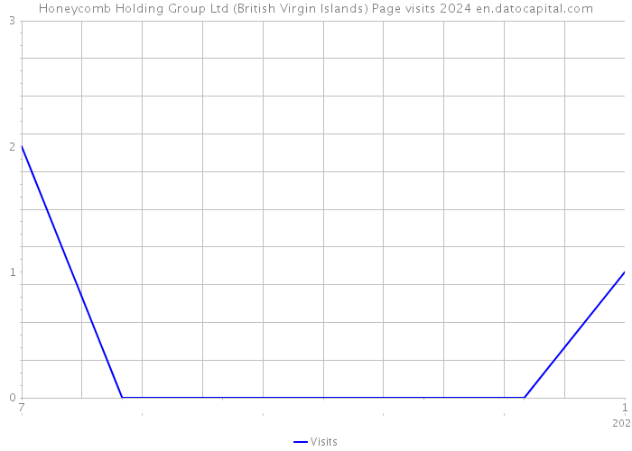 Honeycomb Holding Group Ltd (British Virgin Islands) Page visits 2024 