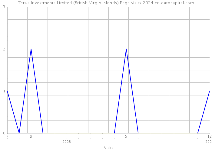 Terus Investments Limited (British Virgin Islands) Page visits 2024 