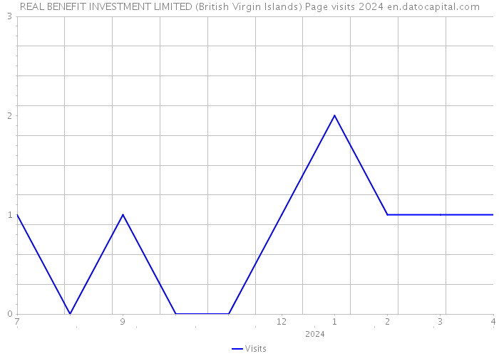 REAL BENEFIT INVESTMENT LIMITED (British Virgin Islands) Page visits 2024 