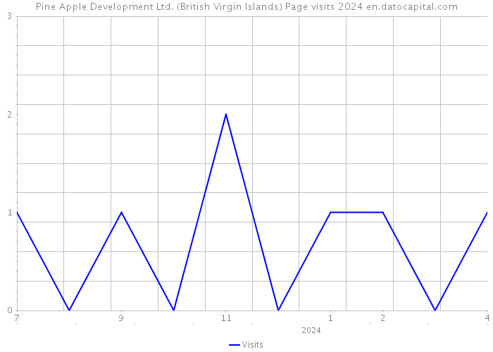Pine Apple Development Ltd. (British Virgin Islands) Page visits 2024 