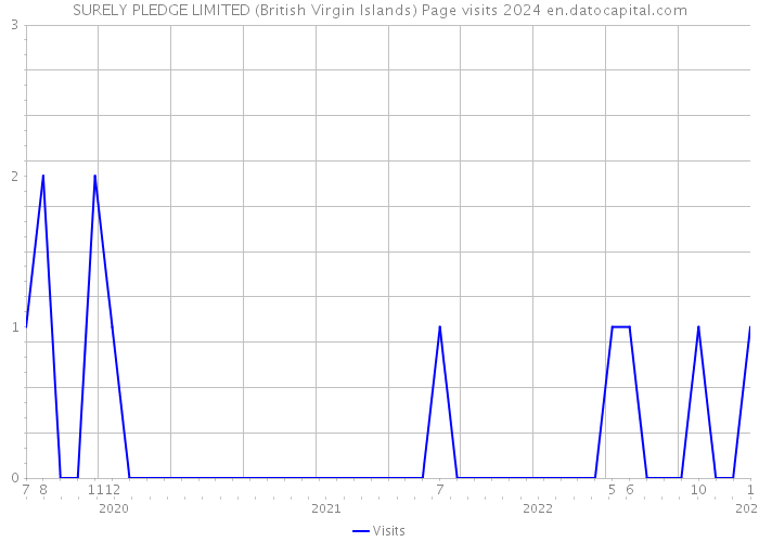 SURELY PLEDGE LIMITED (British Virgin Islands) Page visits 2024 