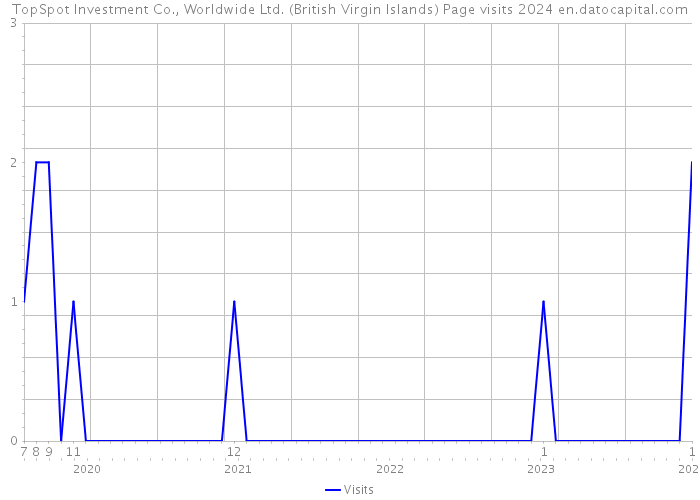 TopSpot Investment Co., Worldwide Ltd. (British Virgin Islands) Page visits 2024 