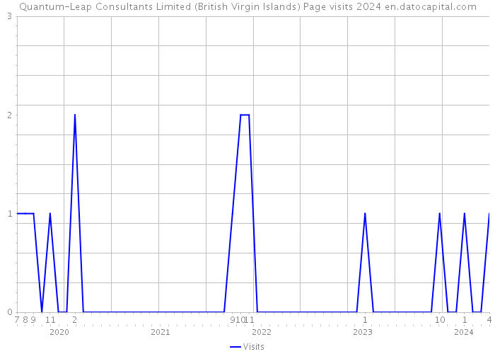 Quantum-Leap Consultants Limited (British Virgin Islands) Page visits 2024 