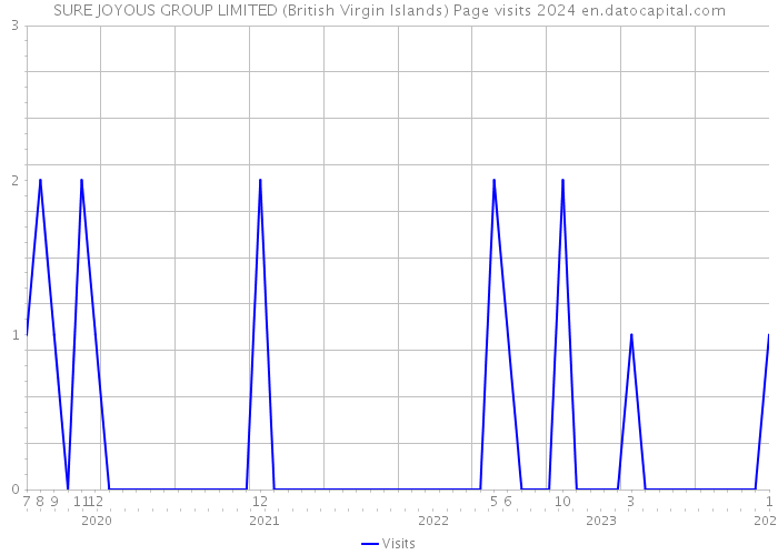 SURE JOYOUS GROUP LIMITED (British Virgin Islands) Page visits 2024 