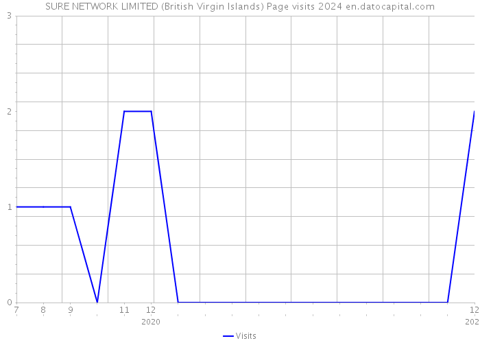 SURE NETWORK LIMITED (British Virgin Islands) Page visits 2024 