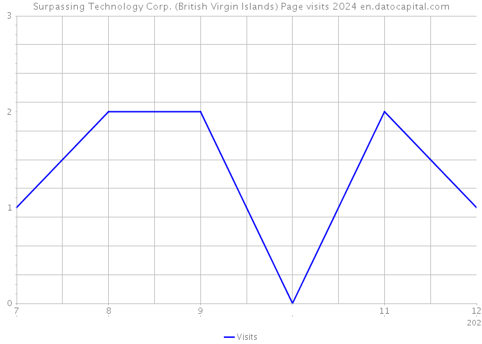 Surpassing Technology Corp. (British Virgin Islands) Page visits 2024 