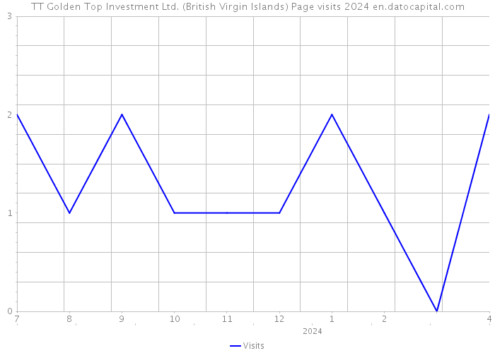 TT Golden Top Investment Ltd. (British Virgin Islands) Page visits 2024 