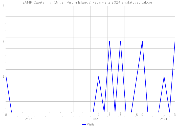 SAMR Capital Inc. (British Virgin Islands) Page visits 2024 