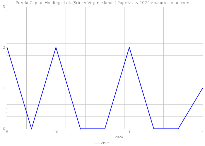 Punda Capital Holdings Ltd. (British Virgin Islands) Page visits 2024 