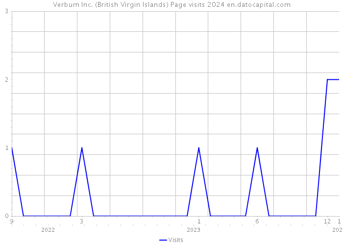 Verbum Inc. (British Virgin Islands) Page visits 2024 