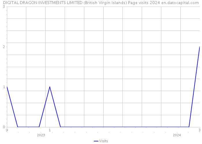 DIGITAL DRAGON INVESTMENTS LIMITED (British Virgin Islands) Page visits 2024 