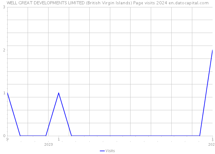 WELL GREAT DEVELOPMENTS LIMITED (British Virgin Islands) Page visits 2024 