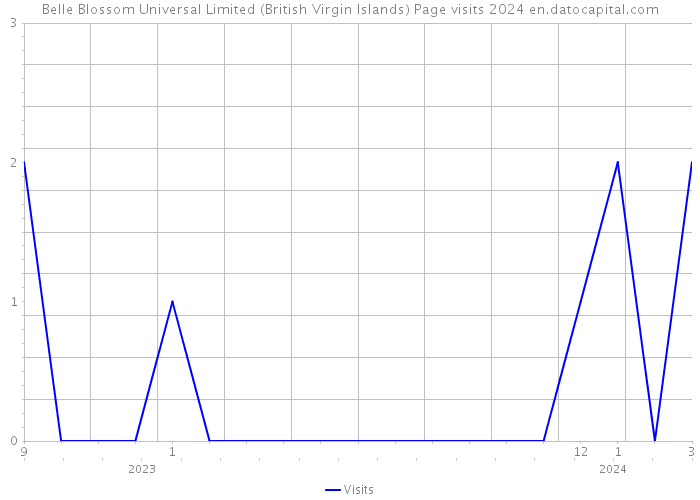 Belle Blossom Universal Limited (British Virgin Islands) Page visits 2024 