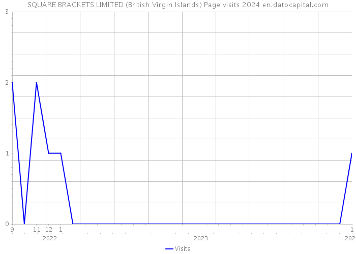 SQUARE BRACKETS LIMITED (British Virgin Islands) Page visits 2024 