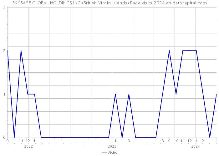 SKYBASE GLOBAL HOLDINGS INC (British Virgin Islands) Page visits 2024 