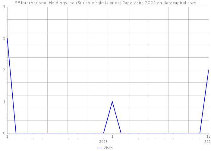 SE International Holdings Ltd (British Virgin Islands) Page visits 2024 