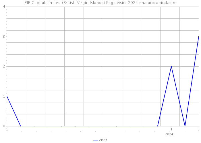 FIB Capital Limited (British Virgin Islands) Page visits 2024 