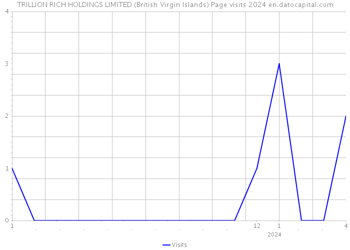 TRILLION RICH HOLDINGS LIMITED (British Virgin Islands) Page visits 2024 