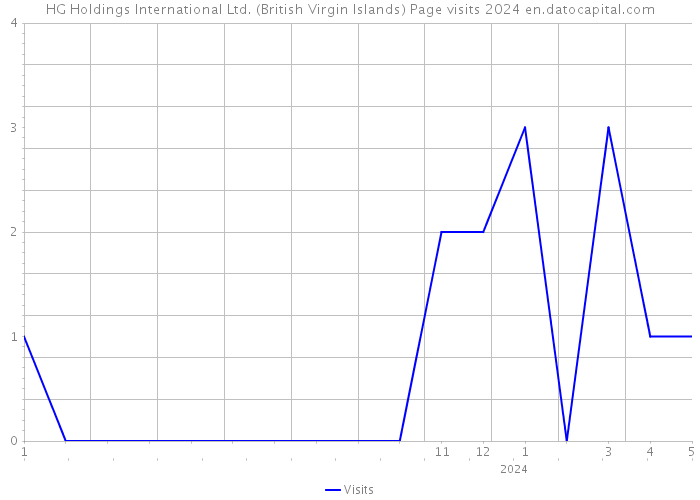 HG Holdings International Ltd. (British Virgin Islands) Page visits 2024 