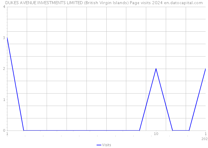 DUKES AVENUE INVESTMENTS LIMITED (British Virgin Islands) Page visits 2024 