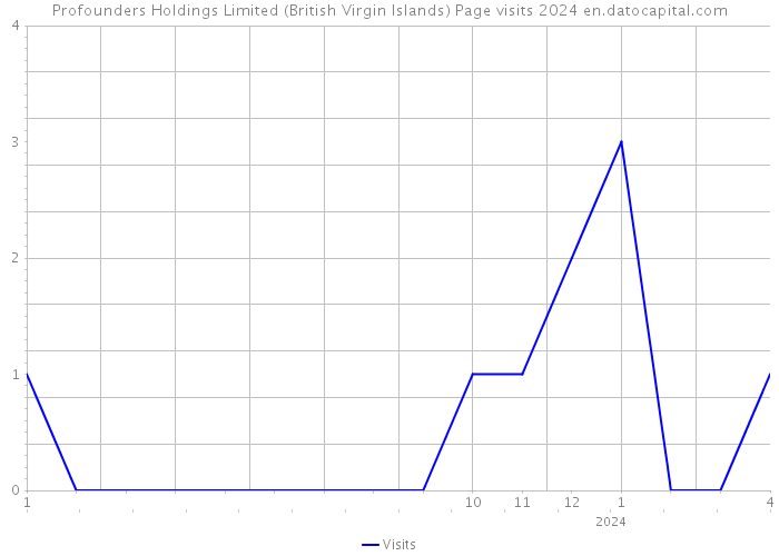 Profounders Holdings Limited (British Virgin Islands) Page visits 2024 