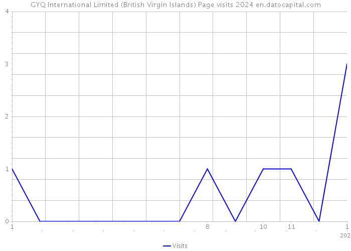 GYQ International Limited (British Virgin Islands) Page visits 2024 