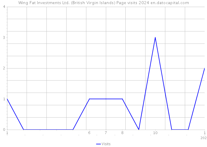 Wing Fat Investments Ltd. (British Virgin Islands) Page visits 2024 
