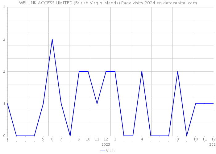 WELLINK ACCESS LIMITED (British Virgin Islands) Page visits 2024 
