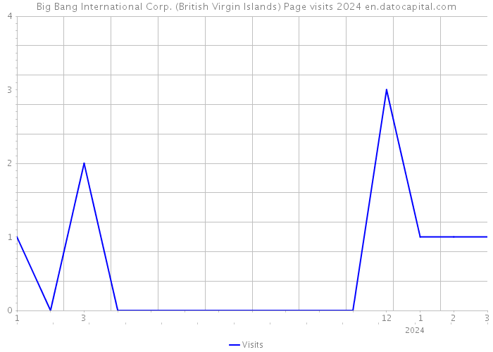 Big Bang International Corp. (British Virgin Islands) Page visits 2024 