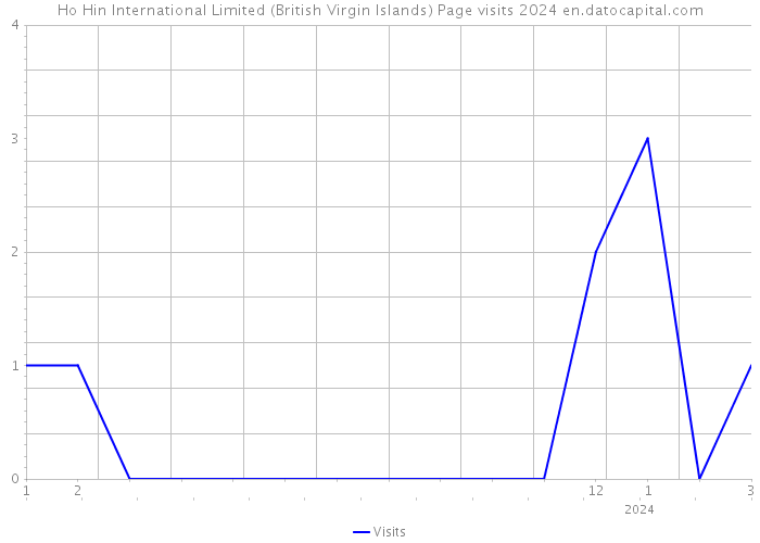 Ho Hin International Limited (British Virgin Islands) Page visits 2024 