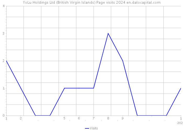 YoLu Holdings Ltd (British Virgin Islands) Page visits 2024 