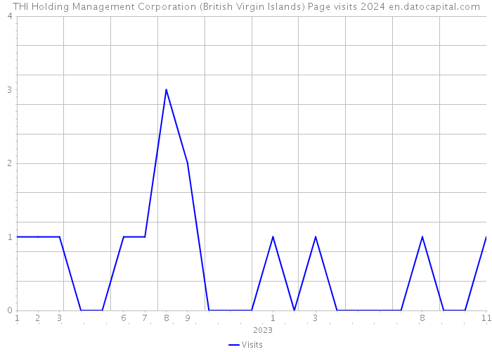 THI Holding Management Corporation (British Virgin Islands) Page visits 2024 