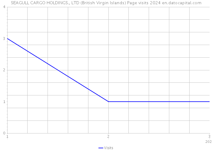 SEAGULL CARGO HOLDINGS., LTD (British Virgin Islands) Page visits 2024 