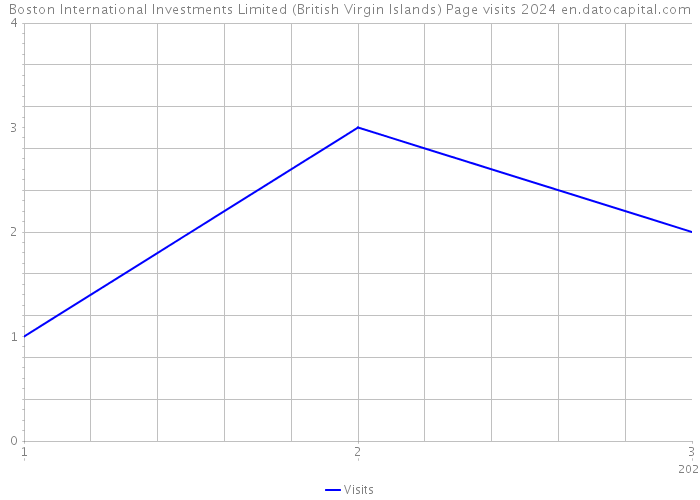 Boston International Investments Limited (British Virgin Islands) Page visits 2024 