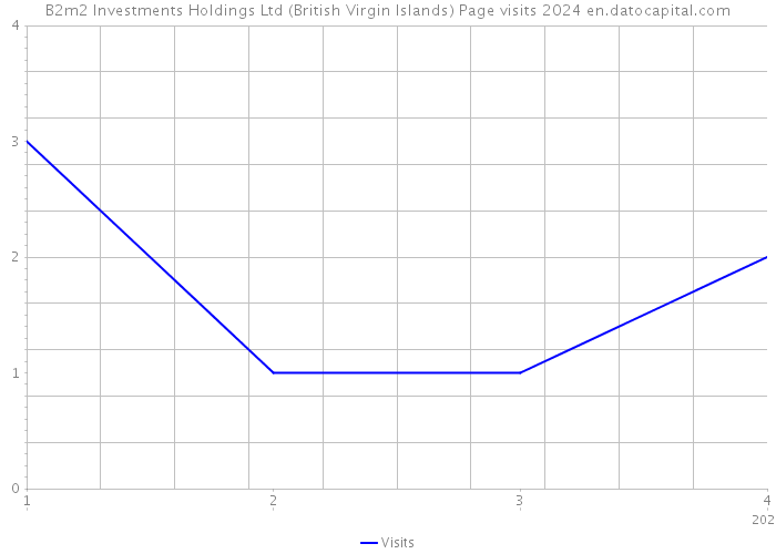 B2m2 Investments Holdings Ltd (British Virgin Islands) Page visits 2024 