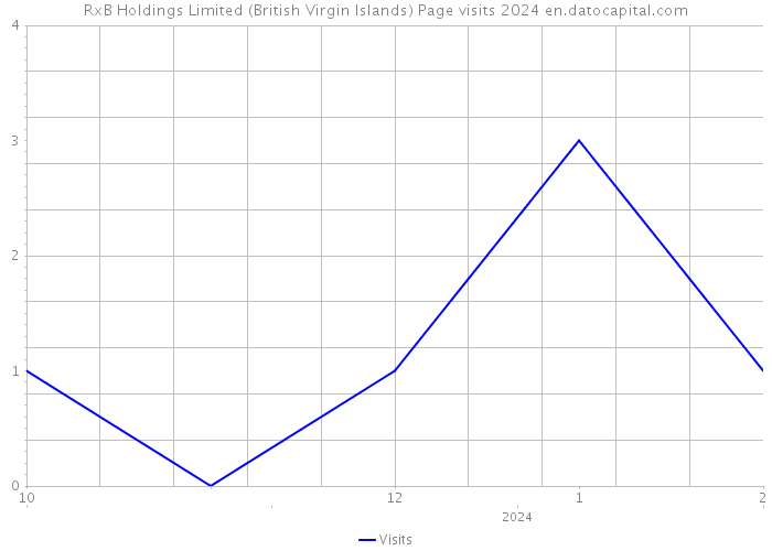 RxB Holdings Limited (British Virgin Islands) Page visits 2024 