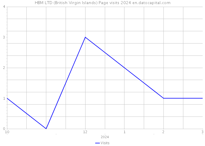 HBM LTD (British Virgin Islands) Page visits 2024 