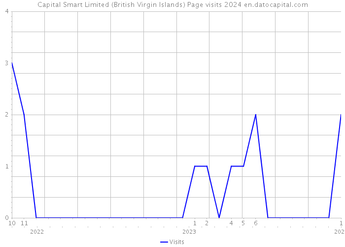 Capital Smart Limited (British Virgin Islands) Page visits 2024 