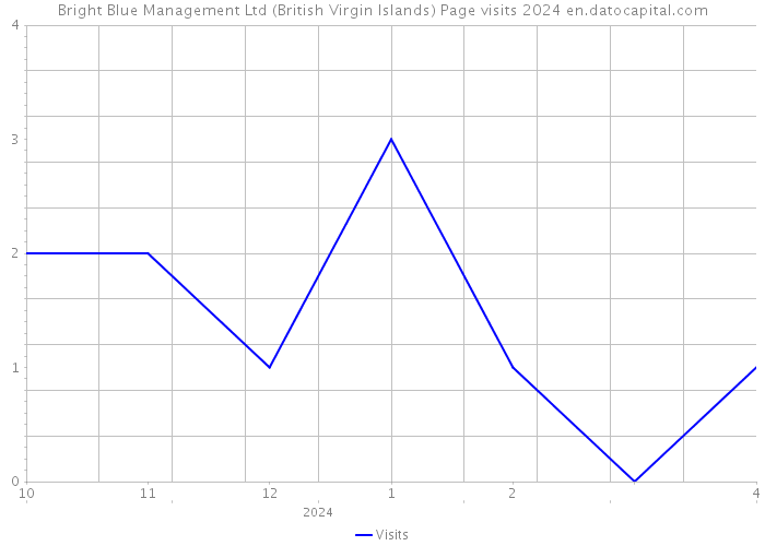 Bright Blue Management Ltd (British Virgin Islands) Page visits 2024 