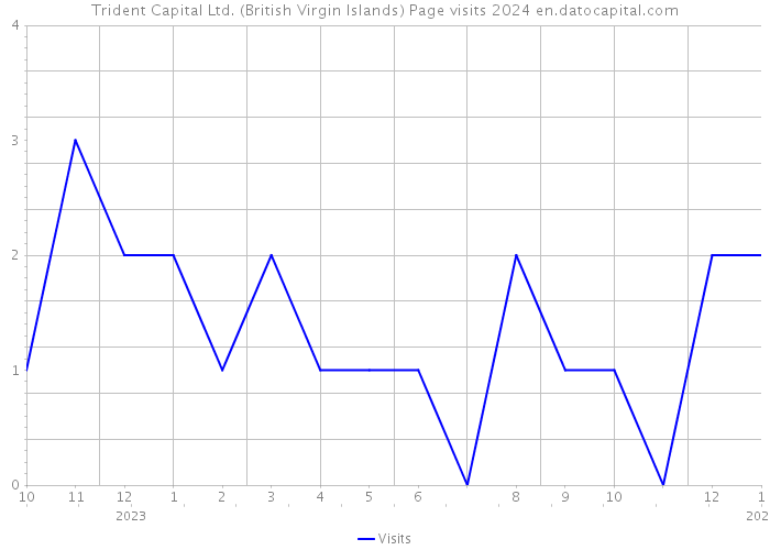 Trident Capital Ltd. (British Virgin Islands) Page visits 2024 