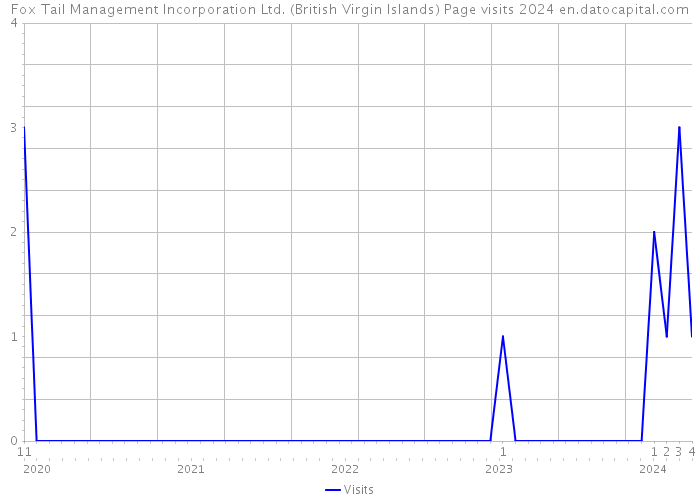 Fox Tail Management Incorporation Ltd. (British Virgin Islands) Page visits 2024 