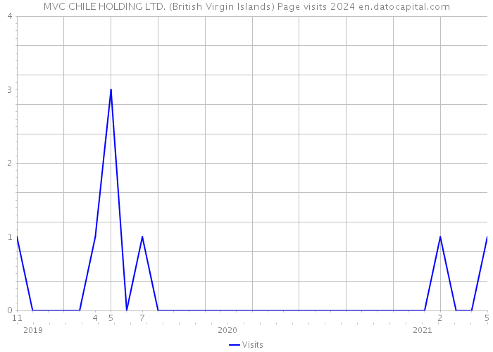 MVC CHILE HOLDING LTD. (British Virgin Islands) Page visits 2024 