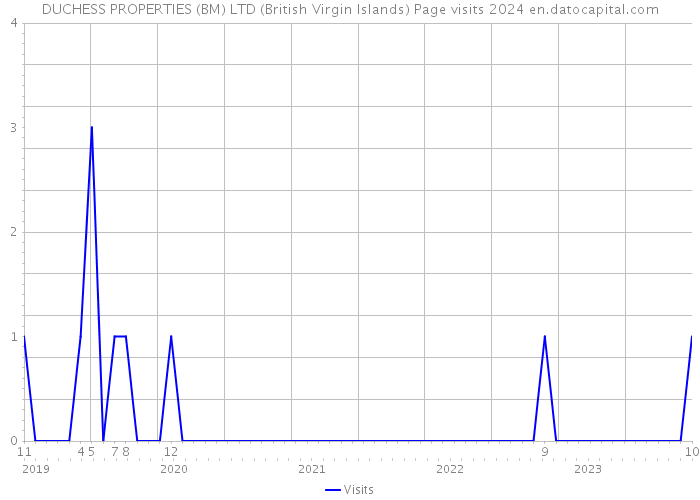 DUCHESS PROPERTIES (BM) LTD (British Virgin Islands) Page visits 2024 