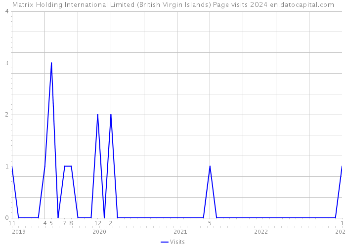 Matrix Holding International Limited (British Virgin Islands) Page visits 2024 
