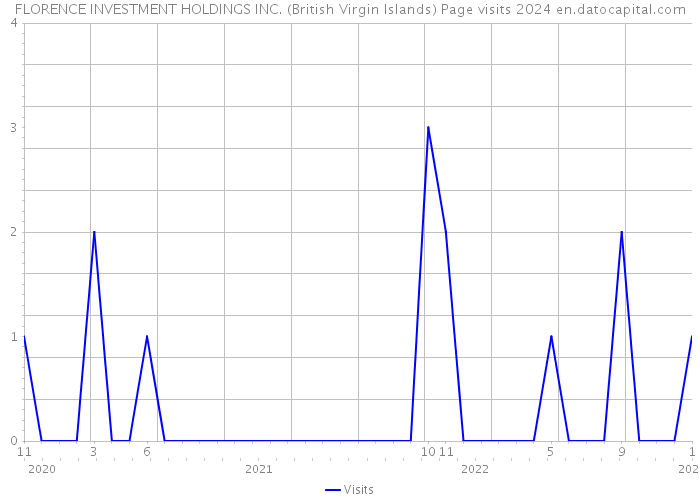 FLORENCE INVESTMENT HOLDINGS INC. (British Virgin Islands) Page visits 2024 