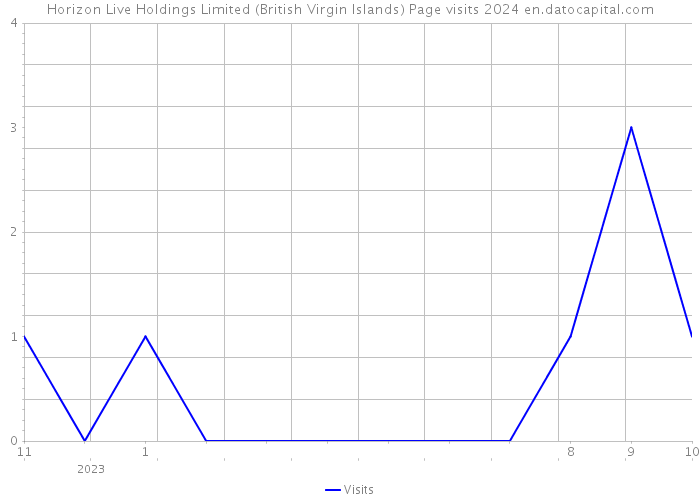 Horizon Live Holdings Limited (British Virgin Islands) Page visits 2024 